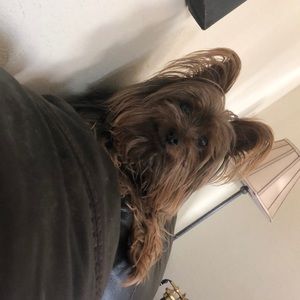 Meet your Posher, Deana